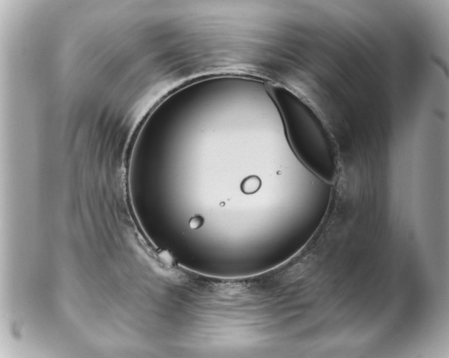 X0000102491332200808151447