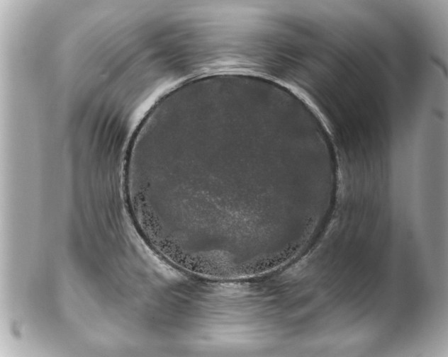 X0000102491333200808151447