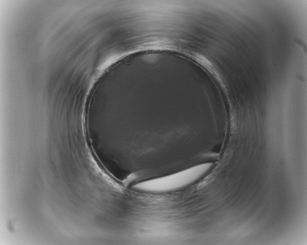 X0000102491334200808151447