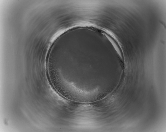 X0000102491335200808151447