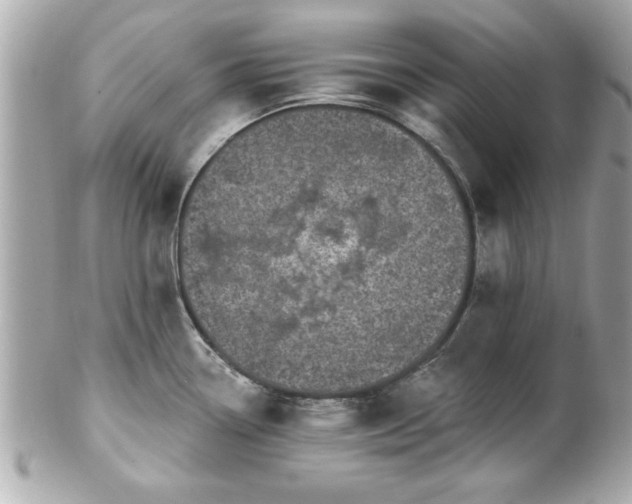 X0000102491338200808151447