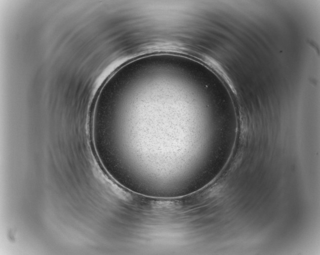 X0000102491339200808151447