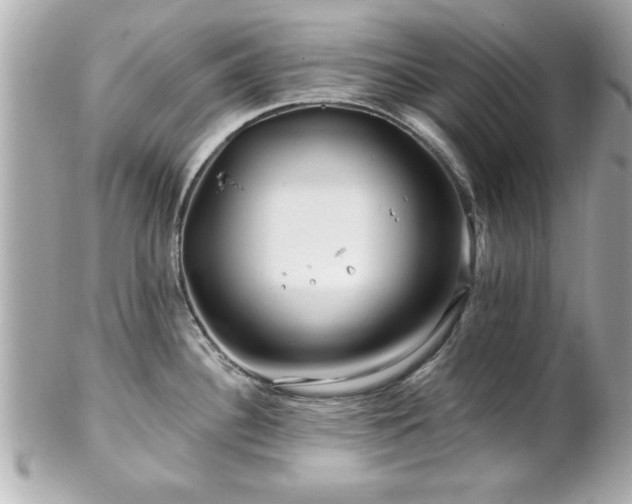 X0000102491340200808151447