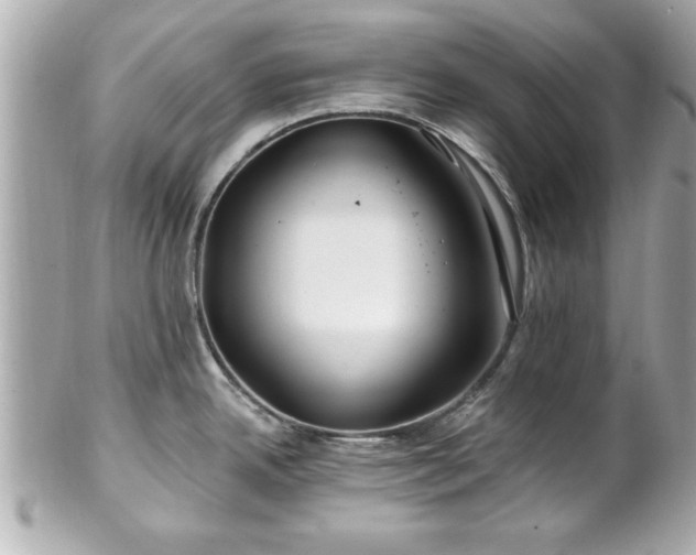 X0000102491342200808151447