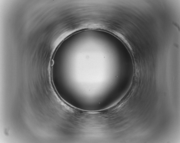 X0000102491343200808151447