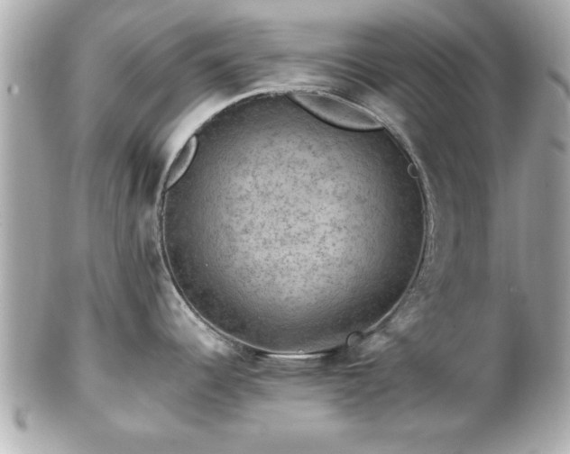 X0000102491344200808151447