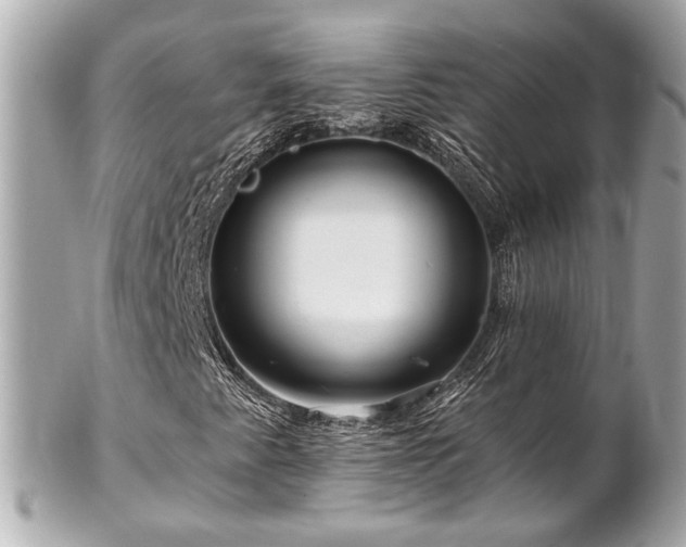 X0000102491345200808151446