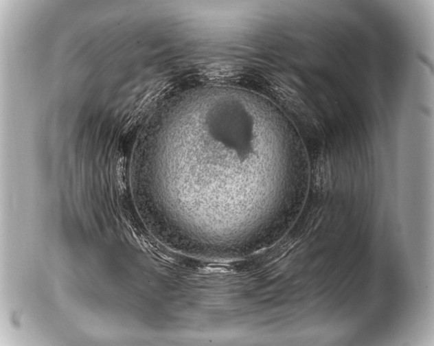 X0000102491346200808151446