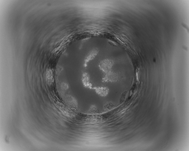 X0000102491347200808151446