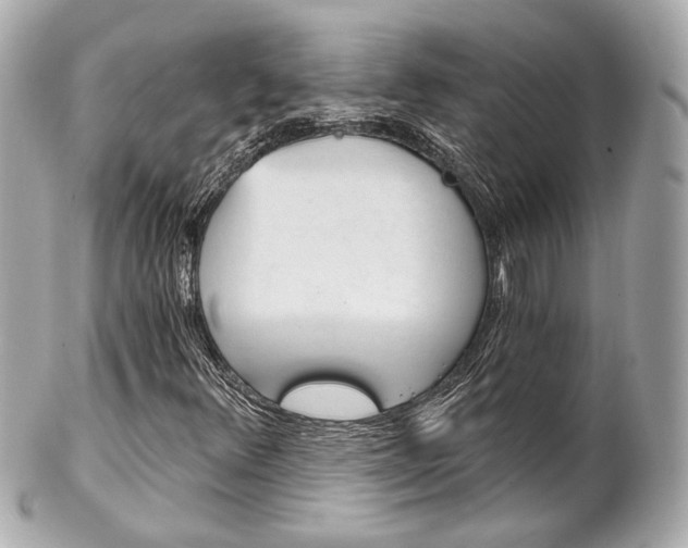 X0000102491348200808151446