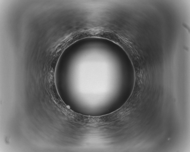 X0000102491349200808151446