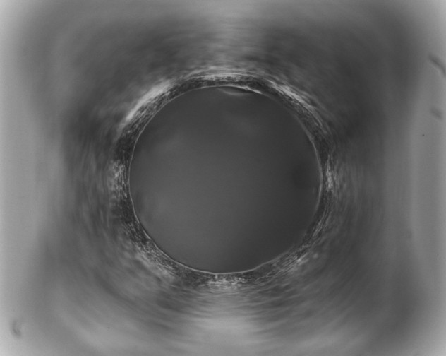 X0000102491351200808151446