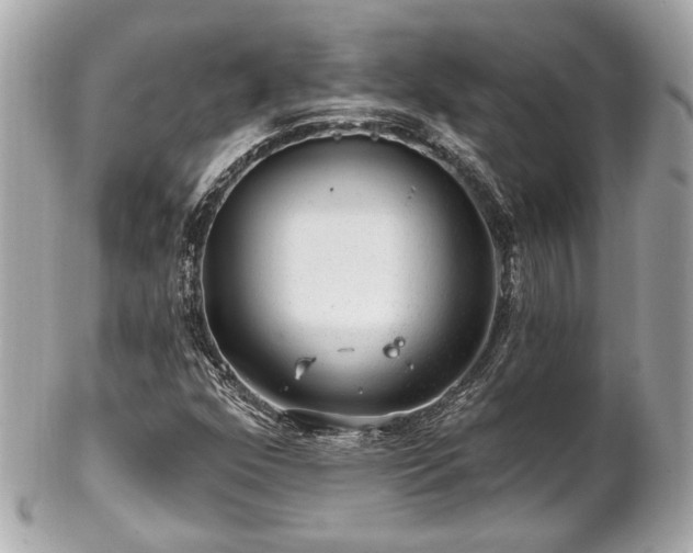 X0000102491352200808151446