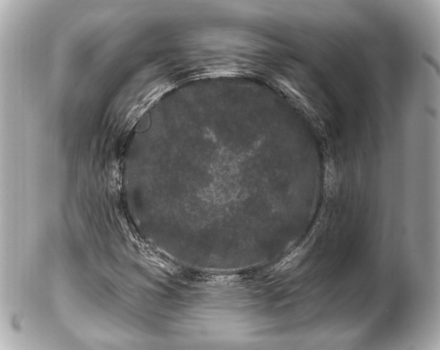 X0000102491353200808151446