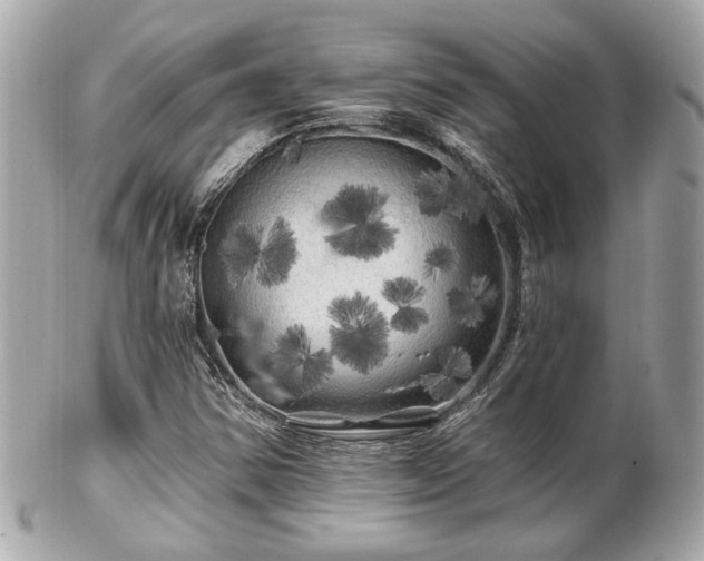 X0000102491354200808151446