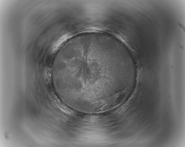 X0000102491355200808151446