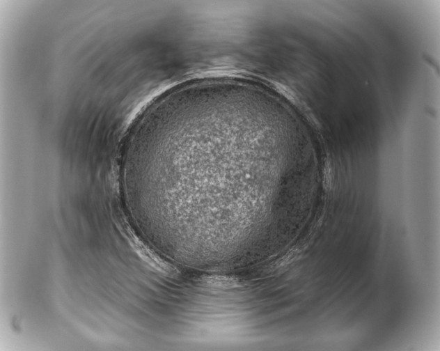 X0000102491356200808151446