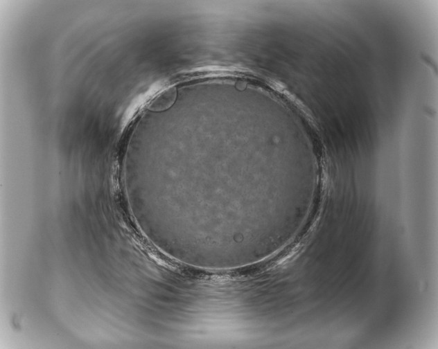 X0000102491357200808151446