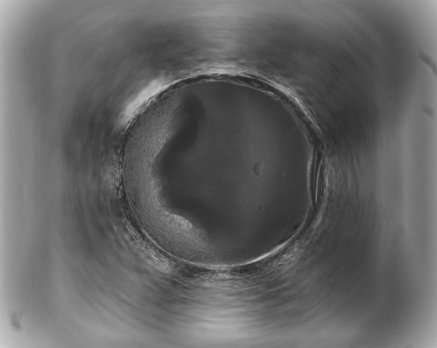 X0000102491359200808151446