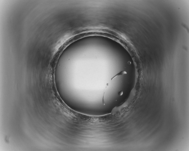 X0000102491360200808151446