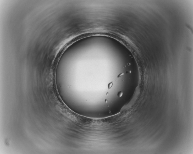 X0000102491364200808151446