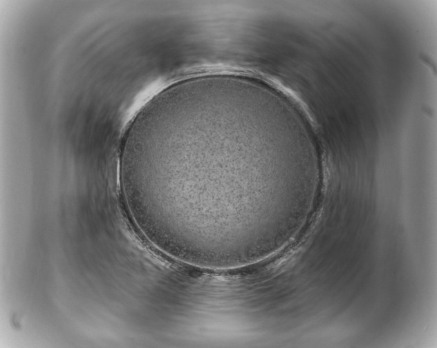 X0000102491365200808151446