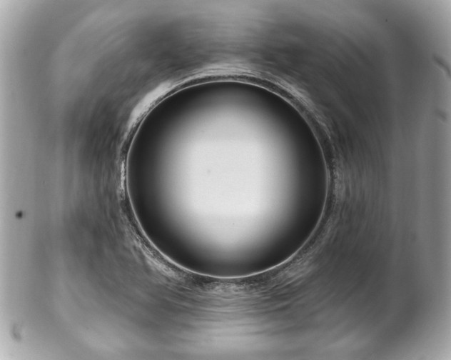 X0000102491366200808151446