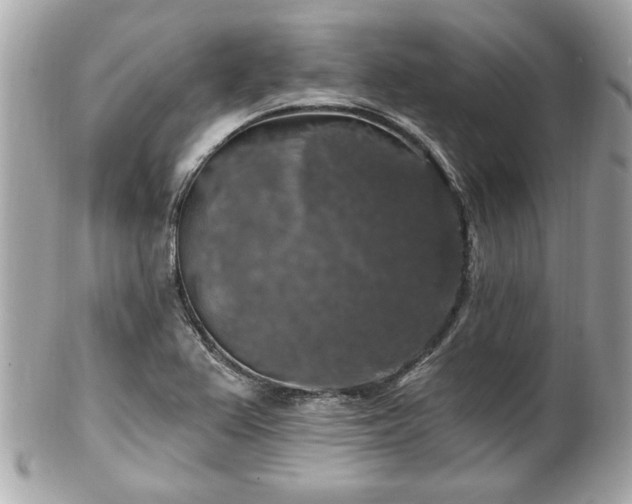 X0000102491367200808151446