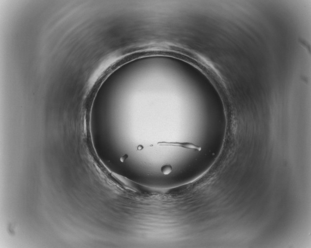 X0000102491368200808151446