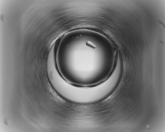 X0000102491369200808151446