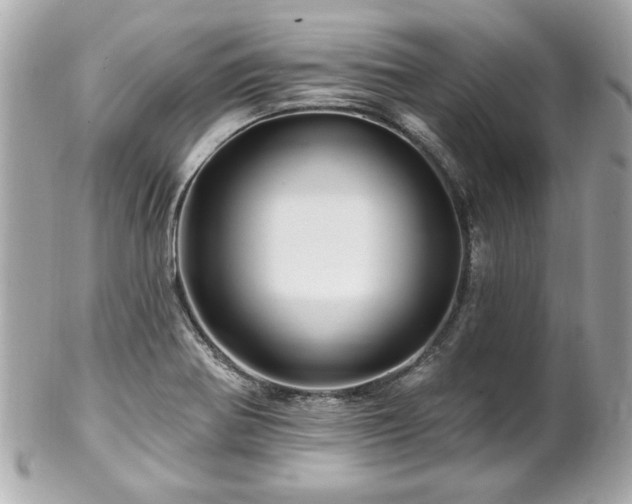 X0000102491370200808151446