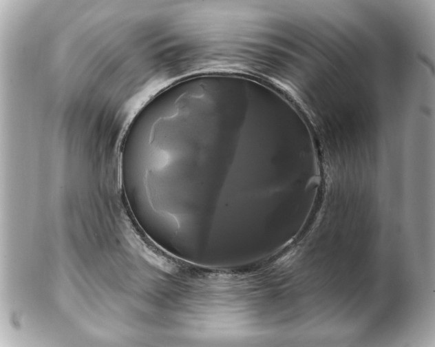 X0000102491371200808151446