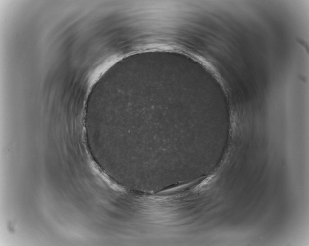 X0000102491373200808151446