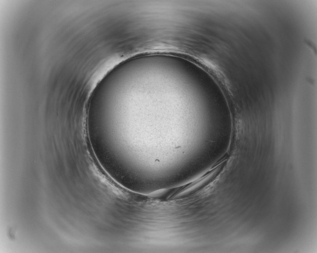 X0000102491374200808151445