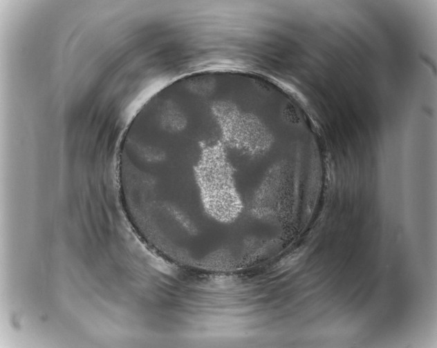 X0000102491375200808151445