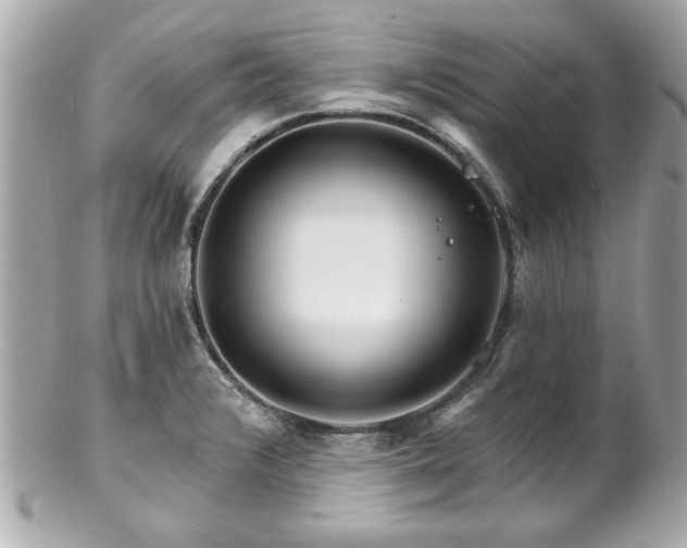 X0000102491376200808151445