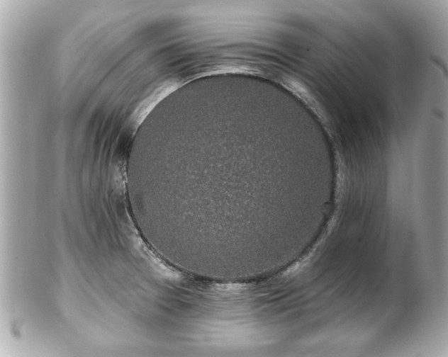 X0000102491377200808151445