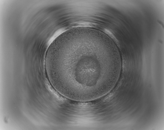 X0000102491378200808151445