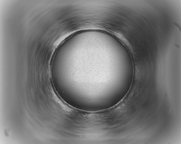 X0000102491380200808151445