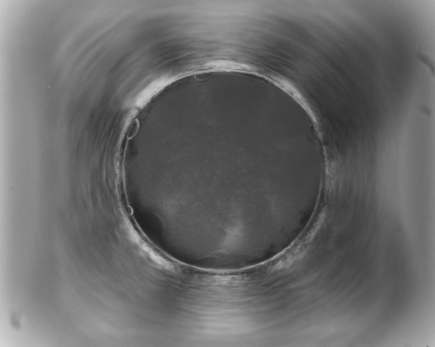 X0000102491381200808151445