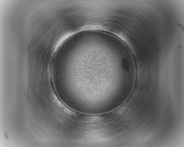 X0000102491382200808151445