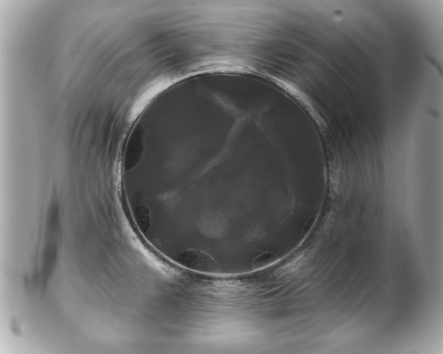 X0000102491383200808151445