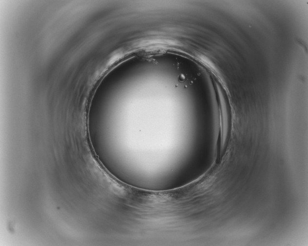 X0000102491384200808151445