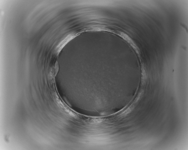 X0000102491385200808151445