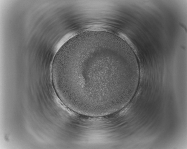 X0000102491386200808151445