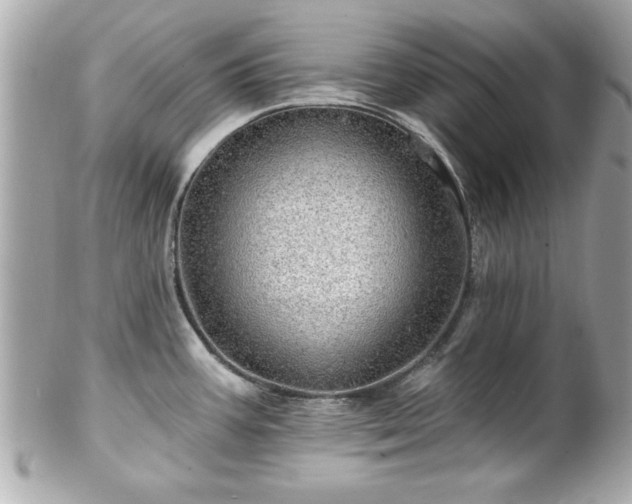 X0000102491387200808151445