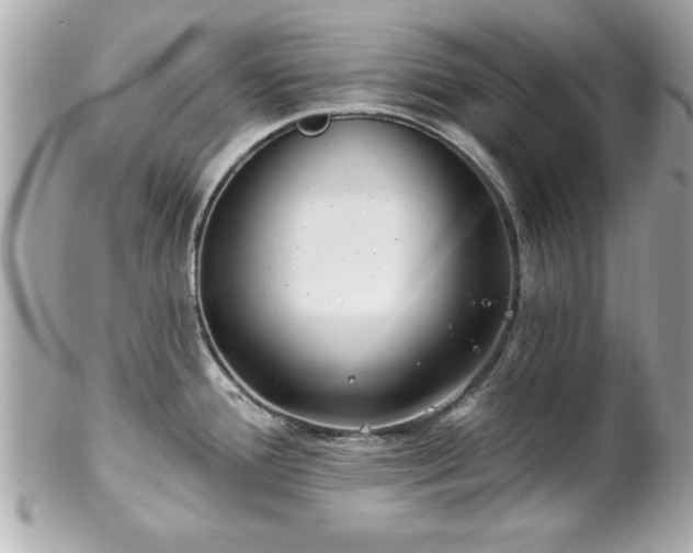 X0000102491388200808151445