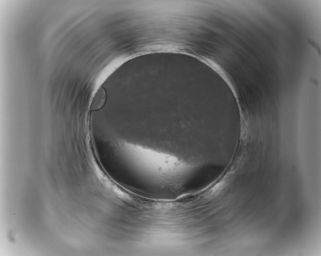 X0000102491389200808151445