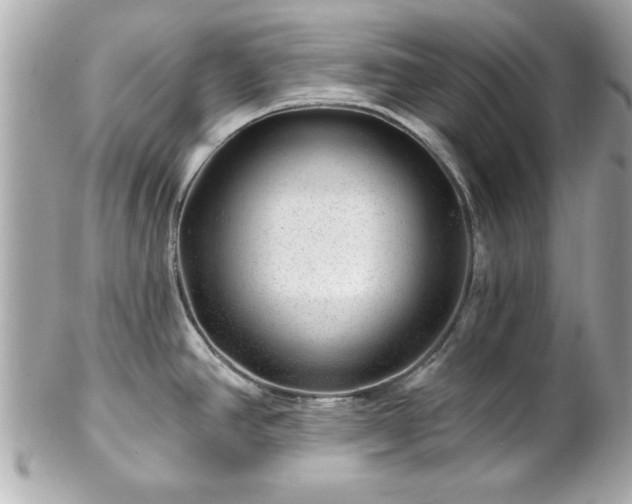 X0000102491390200808151445