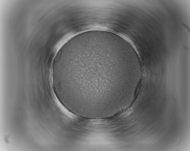 X0000102491391200808151445